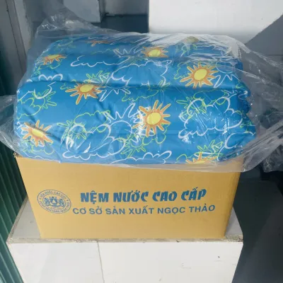 Nệm Nước Cao Cấp Ngọc Thảo ( Có Sẵn Nước) Cho Bé Người Lớn Lót( Màu họa tiết ngẫu nhiên )