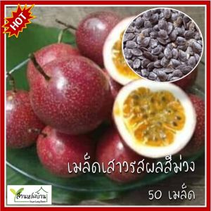 50 เมล็ด เสาวรสสีม่วง Passiflora edulis เมล็ดเสาวรสสีม่วง เสาวรสม่วง Passion Fruit แพสชั่นฟรุต เสาวรส กะทกรกฝรั่ง เสาวรสม่วง เสาวรสพันธุ์สีม่วง
