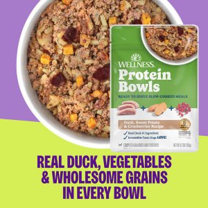 Wellness Protein Bowls Fresh Dog Food 6.2oz (176g) | Slow-Cooked Complete Meals w 7 Recipes