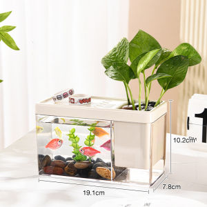 โหลปลา ตู้ปลากัด ตู้ปลาแรงดันลบ ลอยอยู่ในอากาศ การตกแต่งที่สร้างสรรค์