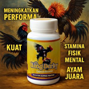 KING DERBY Raja Obat Doping Ayam Aduan Asli Kuba