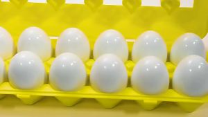 Simulated egg   Early Education Matching Smart Eggs   Shape Matching Color Cognition Educational Toys for Children