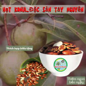 TÚI 500G_HẠT KƠNIA THƠM NGON BÉO NGẬY/ĐẶC SẢN NÚI RỪNG