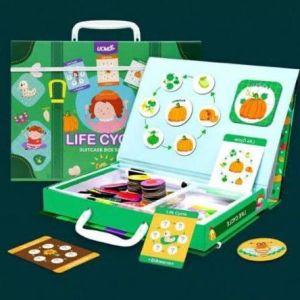 Mainan Edukasi  Magnetic UCMD LIFE CICLE