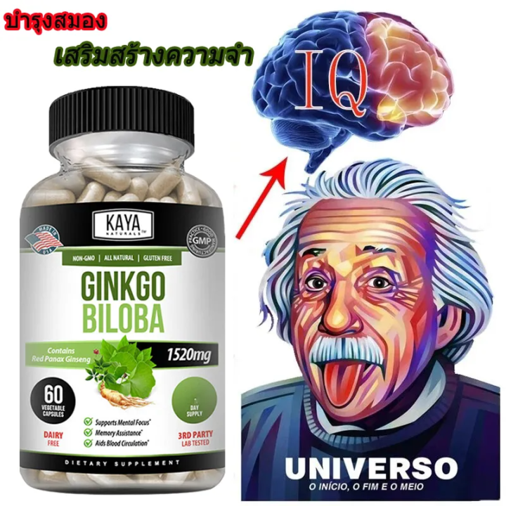 Ginkgo Biloba Extract Capsules Premium NonGMO Brain Supplement 30