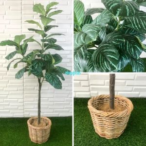 Pohon Plastik Tanaman Hias Daun Karet Merah Muda / Hijau Tua X3 T140 Cover Pot Rotan Bulat Dekorasi Kantor