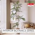 [WITH FREE GIFT] Albizia Julibrissin Artificial Plant Artificial Tree Free Planter Basket Free Plastic Plant Pot Indoor Plant Indoor Decoration Home Decor Fake Plant Tree Decor Tall Plant Pokok Hiasan Pokok Palsu Plant Decor Living Room Entrance Office. 
