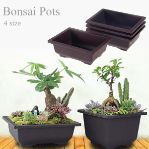 Retro Succulents Home Decor Balcony Nursery Pots Garden Supplies Planters Bonsai Pots