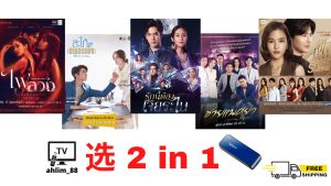 USB Thai Drama 5 in 1 复仇之焰 + 强悍媳妇 + 放羊的星星 + 男妓.囚身之欲 + 无法抗拒的爱 泰语中字 Chinese subtitle 泰国电视剧