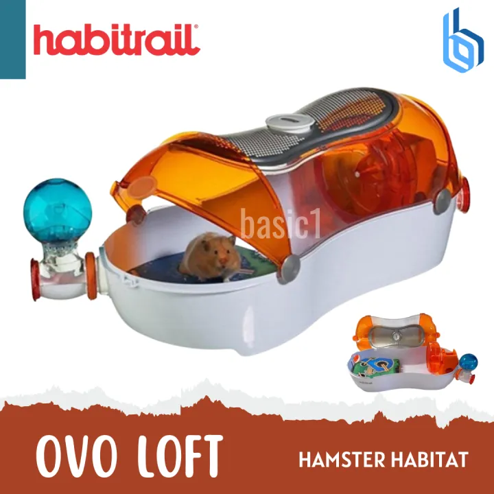 Photo inspiration: Visual Reference: Habitrail Ovo Loft With Chewable Cardboard Hamster Cage
