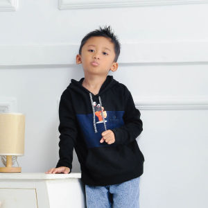 PROMO MURAH BELI 1 GRATIS 1 SWEATER HOODIE ANAK BAHAN LEMBUT USAI 1 -6 TAHUN BY DE STORE FASHION