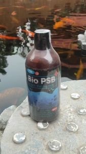 Men Vi Sinh Bio PSB (500ml) Làm Trong Nước Bể Cá Bổ Sung Vitamin & Khoáng Chất Giúp Cá Khỏe Mạnh