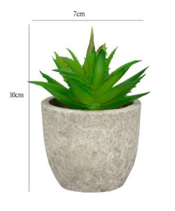 Chậu cây sen đá mini giả để bàn - cây kèm chậu bột giấy