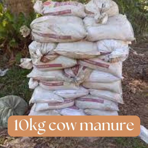 ARGEM 10kg Pure Dried Cow Manure Soil Organic Fertilizer, Use in ...