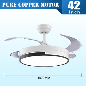 Modern ceiling fan with light  Pure Copper Motor 3 color 42/48 inch  chandelier fan 6 speeds with remote control