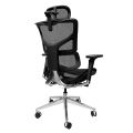 SAIL Luxury Ergonomic Office Chair ★ Mesh Office Chair ★ Flexible Lumbar Support ★ Adjustable Features ★ Easy Self Setup. 