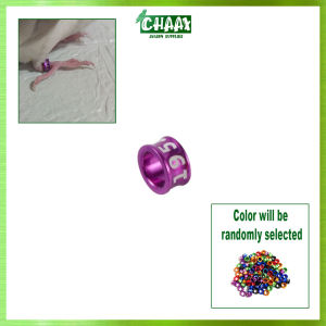 QUALITY ALBS RING KEETS RING COCKATIELS RING (CONCAVE STYLE)