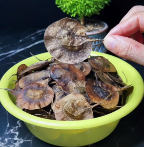 Rare Zen Small-Leaf Rosewood  Elegant Zen Mindful Craftsmanship High-Quality Teak Wood Furniture Meditation Home Decor