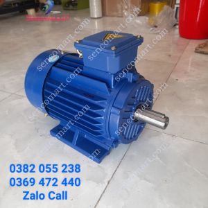Mô tơ điện 3 pha điện 380v Toàn Phát 3kw(4 ngựa) 3000v/p dây đồng bảo hành 12 tháng