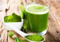 Hạt Giống Cỏ Lúa Mì Đỏ Wheatgrass Cỏ Mèo. 