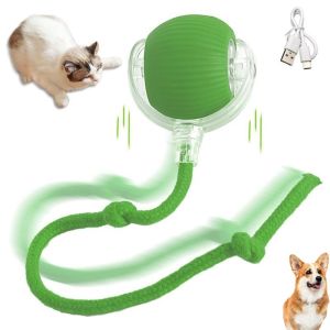 Malaysia Spot Electric Interactive Pet Toy Ball Smart Automatic Pet Toy Ball Suitable For All Pets Toy USB 宠物玩具 玩具球
