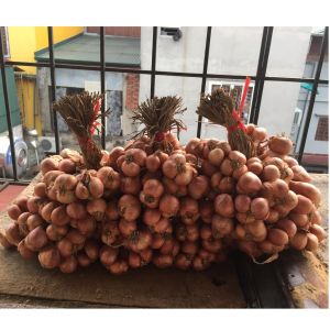 Hành ta khô 1kg Hành bắc Hải Dương loại 1 đã chọn lọc