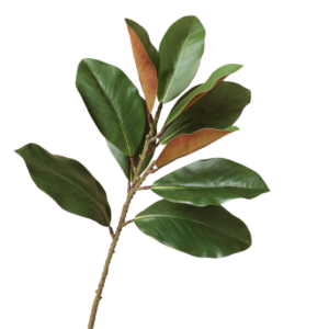 GUHEHARD Real Touch Artificial Magnolia Leaf Branches Lifelike 57cm Simulated Green Plants Fake Plants Handmade Fake Magnolia Plant Home Office Decor