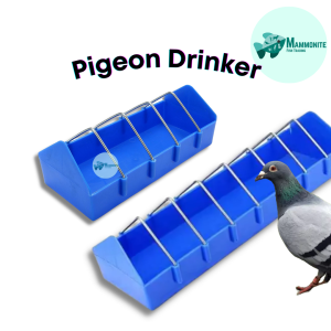 Bird Pigeon Poultry Water Drinker Tray Feeding Gardening YC-PG801