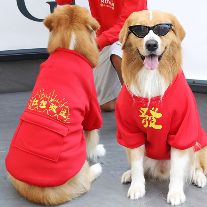 Golden Retriever small, medium and large dog New Year's clothing