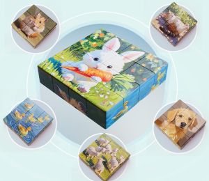 Đồ Chơi Lắp Ghép Nam Châm 6 Mặt 16 Khối Nhiều Chủ Đề – Chủ Đề Động Vật Sinh Vật Biển Phi Hành Gia Khủng Long Xe Cộ – Phát Triển Tư Duy Cho Bé