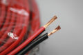 Speaker Cable wire Size No. 14 AWG, Heavy Duty, Best for Karaoke/ Amplifier/ Speaker. 