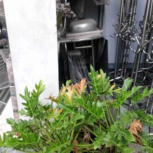 Thanh V góc vuông inox 304 ốp cạnh bàn  canh tường  cạnh bậc bước an toàn  thẩm mỹ và sạch sẽ .