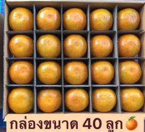 ส้มสายน้ำผึ้ง อำเภอฝาง (แบบคัดพิเศษ)