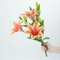 Bunga Lily Latex Cabang 3 Bunga lili Palsu Bahan Lateks Artificial Real Touch Silk Flower Tiger Lilies Hiasan Hotel Bucket Rumah Cafe dan Dekorasi Pelaminan Berkualitas Import Premium Murah. 