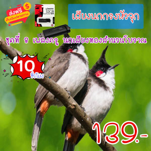 G8Shop เสียงนกกรงหัวจุก ชุดที่ 8. เสียงนกกรงหัวจุก นกเพลงครู นกเสียงทองสำนวนโบราณ mp3 ความยาว 10 ชม.เสียงชัด เสียงใสกังวาน ได้ผล100%