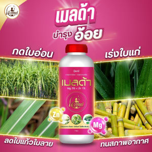 ปุ๋ยน้ำ อ้อย แมกนีเซียม+สังกะสี สูตรเข้มข้น (เมลด้า 1ลิตร) กดใบอ่อน เร่งใบแก่ กอใหญ่ เขียวเข้ม
