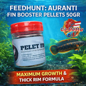 🇸🇬 Predator Fish Food | PELET FIN AURANTI 50g for Channa Dwarf Auranti Andrao Limbata Stewartii | Natural Protein-Rich Nutrition | Color Boost | Rim White Growth Support | Premium Aquarium Feed | High-Fin Enhancement | Daily Feeding Formula