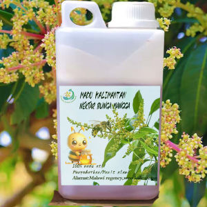 Madu Kalimantan // madu asli // madu nektar bunga mangga 1 kg