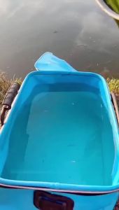 Fishing Gear Fishing Bucket Fishing Live Fish Bucket EVA Multi-purpose Foldable Outdoor Car Wash Bucket Fish Tank [ Free Shipping ]