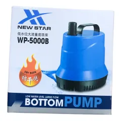 Bí quyết chọn và vận hành bơm hồ cá Koi – Đem lại không gian sống lý tưởng cho cá Koi của bạn