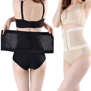 Waist Trimmer Belt-Postpartum Postnatal Recoery Support Girdle (FE FASHION)