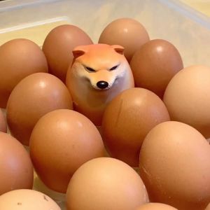 MACRAMEX Shiba Inu Squeeze Fidget Toy Shibako Dog Egg PU Slow Rebound Dog Egg Toy Creative Realistic Shape Desk Decor Gift