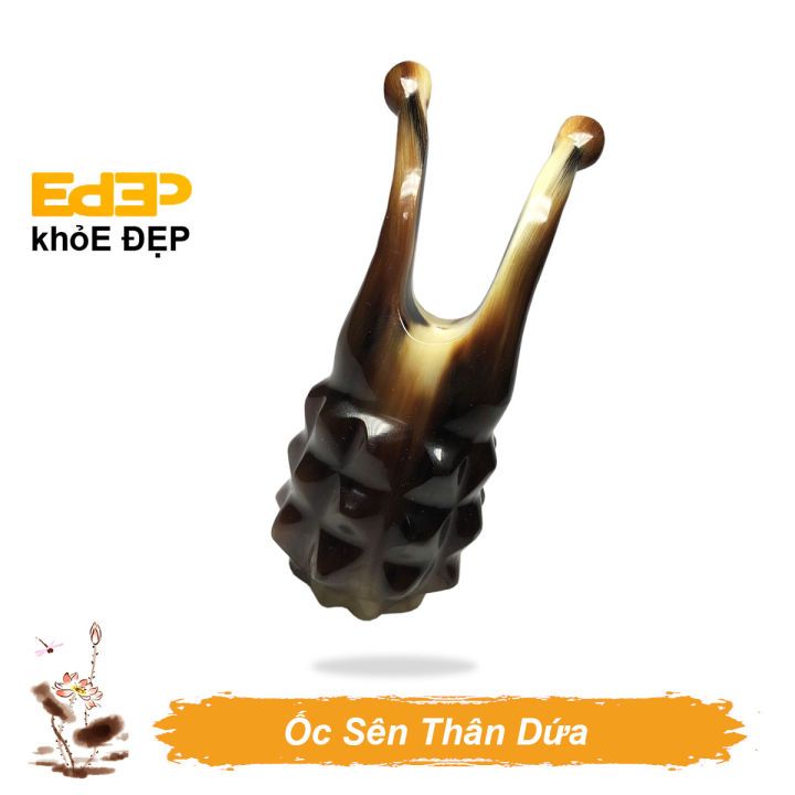 Dụng Cụ Massage Diện Chẩn - Ốc Sên Thân Dứa (Chấn Huyệt, Giãn Mềm Cơ ...