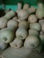 Buah Labu Madu/butternut pumpkin. fresh (segar) per 100 gr.. 