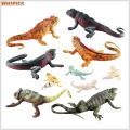 Reptile Statue Model Simulated Cute Lizard Chameleon Bearded Dragon Solid Model Decoration PVC Reptile Amphibian Figurine Ornament Educational Toy. 