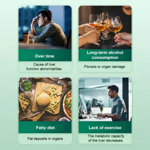 Nutrient Supplement Soothe the Liver and Gall Bladder Nutrient Features Liver Protection Shu Gan Tablet