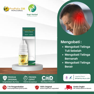 Obat Telinga Berdengung Obat Tetes Kuping Bernanah Infeksi Telinga Telinga Berdarah Telinga Berair Dengan Propolis SM
