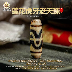DZI DESTINY LOTUS DZI TIBETAN ANTIQUE DZI 天珠缘 莲花天珠 西藏百年老天珠 纯洁之珠 人际 RELATIONSHIP PURIFY INNER BEAUTY
