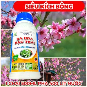 Phân Bón Lá NSG 1 500ML – Dưỡng Hoa Đào Cảnh Nở Rộ Bền Màu Giữ Hoa Lâu Tàn