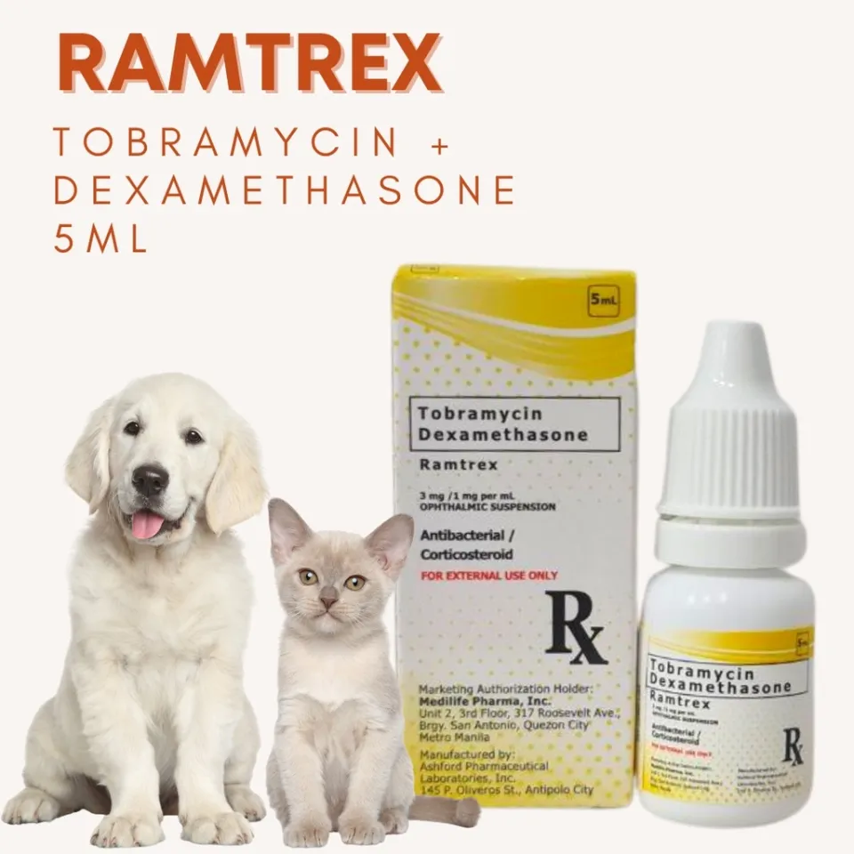 Tobramycin for outlet dogs dosage